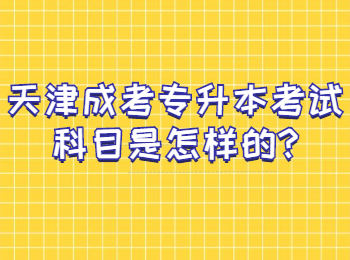 天津成考专升本考试科目是怎样的