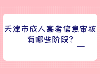 天津市成人高考信息审核有哪些阶段