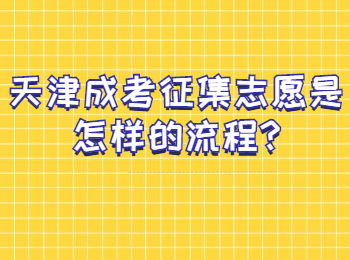 天津成考征集志愿是怎样的流程