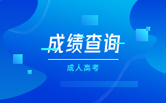 2023年天津成人高考成绩查询流程?