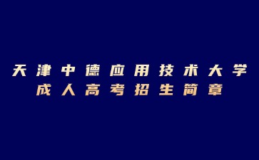 2024年天津中德应用技术大学成人高考招生简章